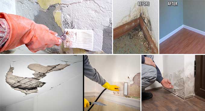 Repairing Water-Damaged Walls: A Comprehensive Guide